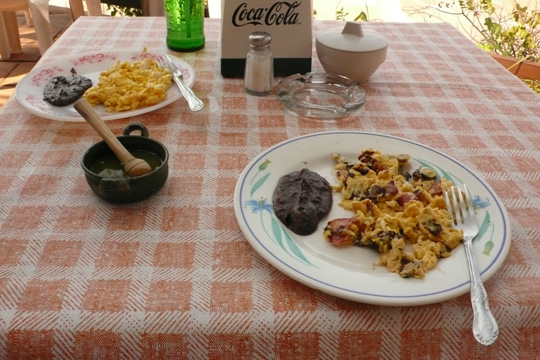 f20080511_1.JPG