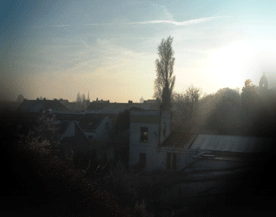 ant05.gif