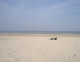 砂浜.jpg