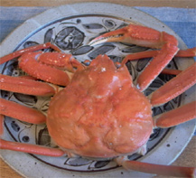 crab01.jpg