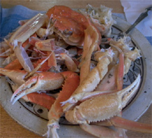 crab02.jpg