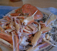 crab03.jpg