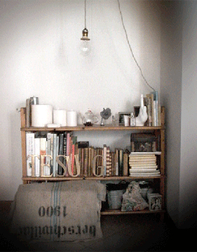 bookshelf010.gif