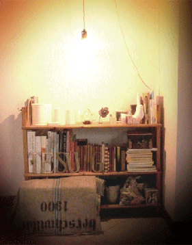 bookshelf020.gif