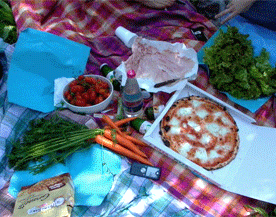 picnicinmolvena.gif