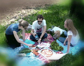 picnicinmolvena02.gif