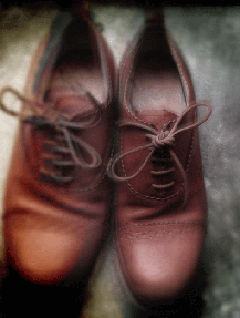 shoe03.gif