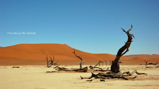 0408%20deadvlei00.jpg