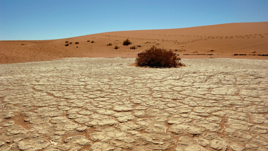 0408%20deadvlei02.jpg