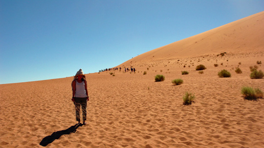 0408%20deadvlei03.jpg