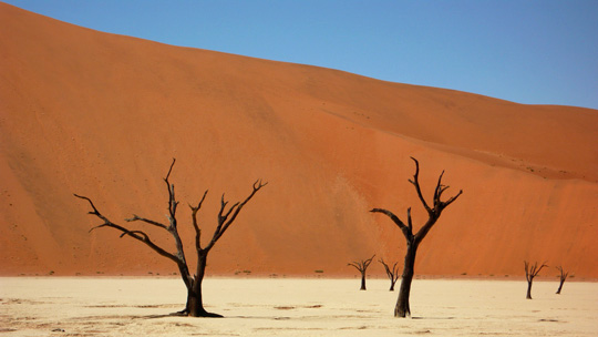 0408%20deadvlei04.jpg