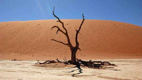 0408%20deadvlei05.jpg