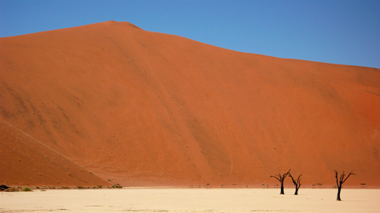 0408%20deadvlei07.jpg