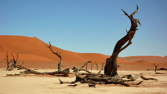 0408%20deadvlei08.jpg