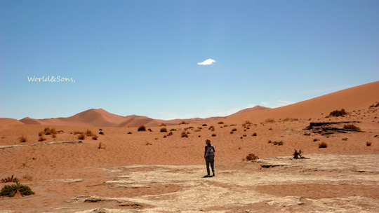 0408%20deadvlei09.jpg