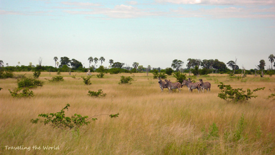 0422%20mokosafa05.jpg