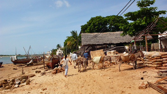 0723%20shela01.jpg