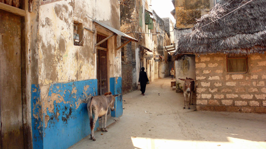 0724%20lamu07.jpg