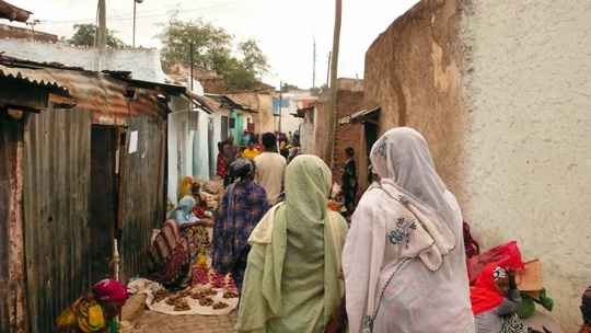 0806%20harar01.jpg