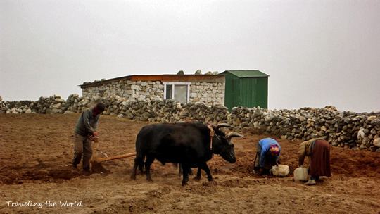 1112%20dingboche11.jpg