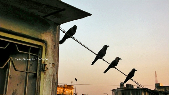 1201%20kolkata00.jpg
