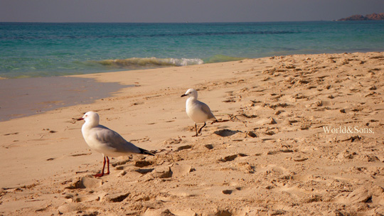 bunker%20beach0516%2002.jpg