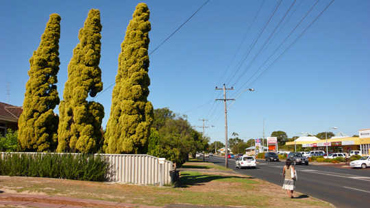 busselton0326%2004.jpg