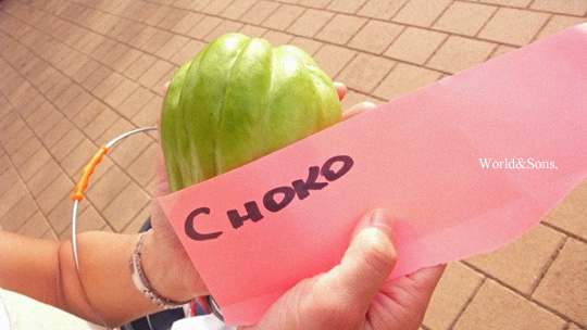 choko0521%2000.jpg