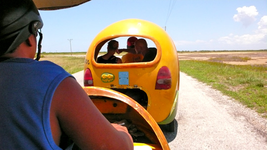 cocotaxi02.jpg