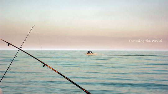 fish1016%2002.jpg