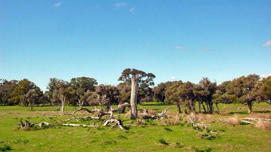 forest0731%2004.jpg