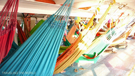 hammock00.jpg