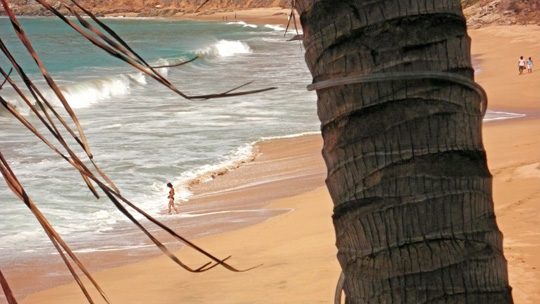 mazunte02.jpg