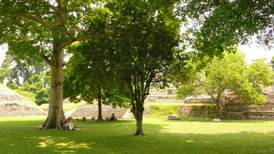 palenque02.jpg
