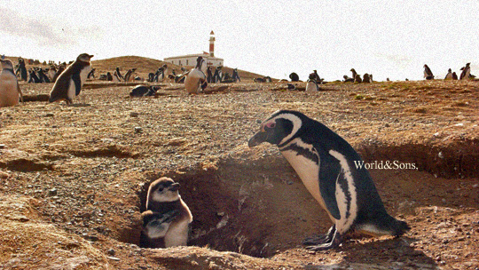 penguin07.jpg