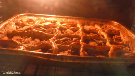 pie0504%2001.jpg