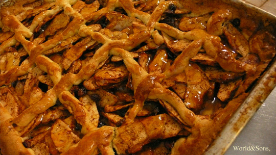 pie0504%2003.jpg