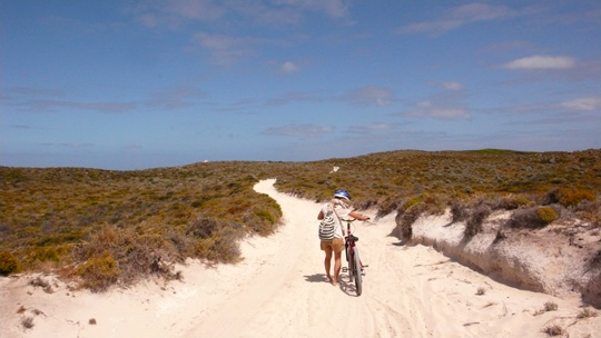 rottnestswim%2001.jpg