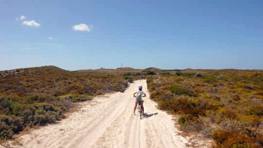 rottnestswim%2004.jpg