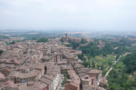 siena3.jpg