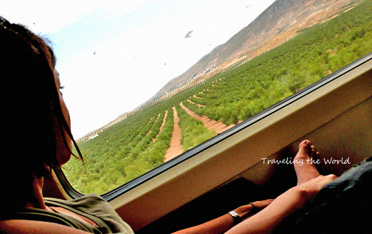 spain%20train.jpg