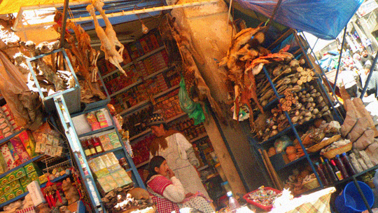 tienda01.jpg