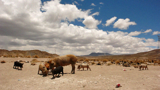 to%20uyuni02.jpg