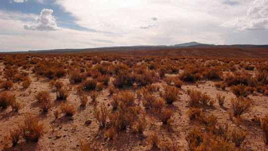 to%20uyuni04.jpg