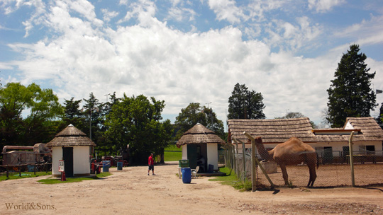 zoo01.jpg