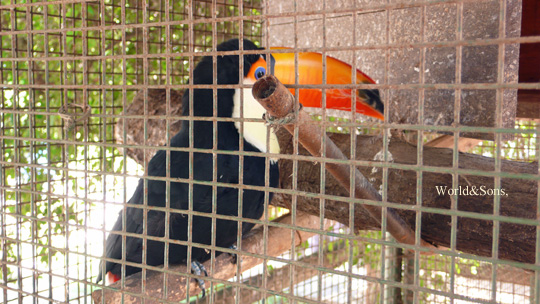 zoo05.jpg